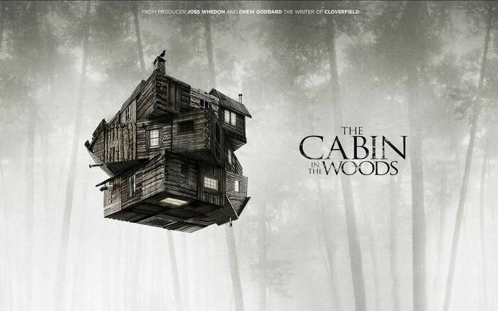 cabin1
