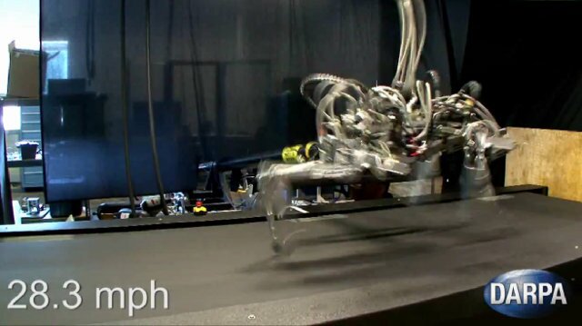 cheetahrobot